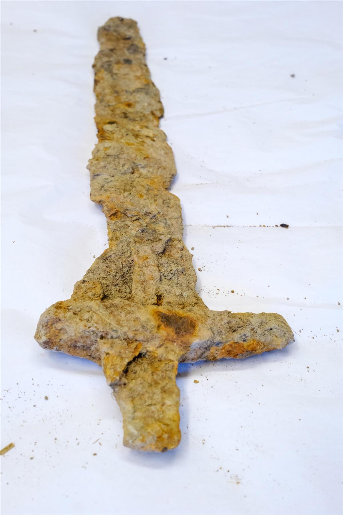 Bauer entdeckt 1.000 Jahre altes seltenes Wikingerschwert vom Typ Ulfberht